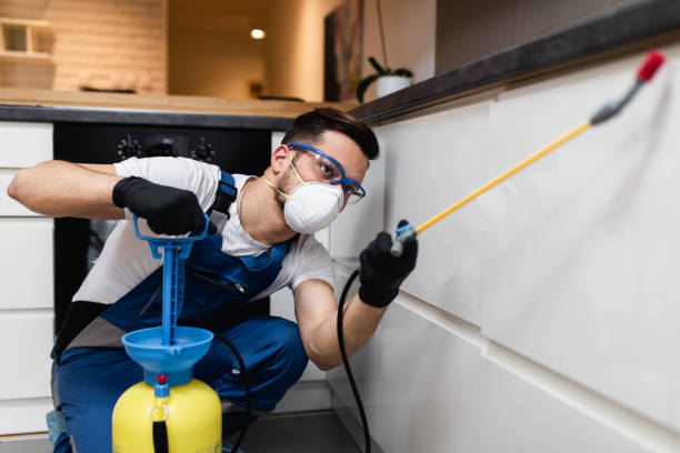 Best Wildlife Control Services  in Hampstead, MD