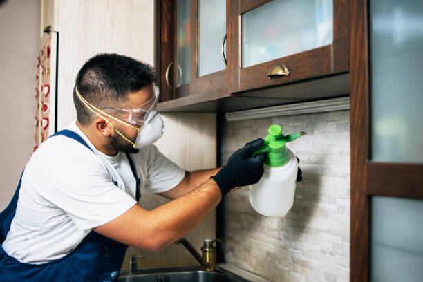Best Commercial Pest Control Services  in Hampstead, MD