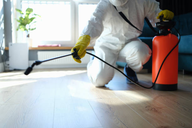 Best Flea Control Services  in Hampstead, MD