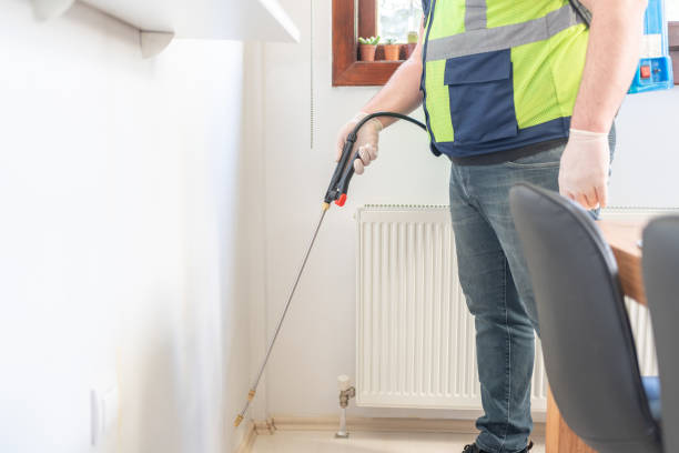 Best Termite Control Services  in Hampstead, MD