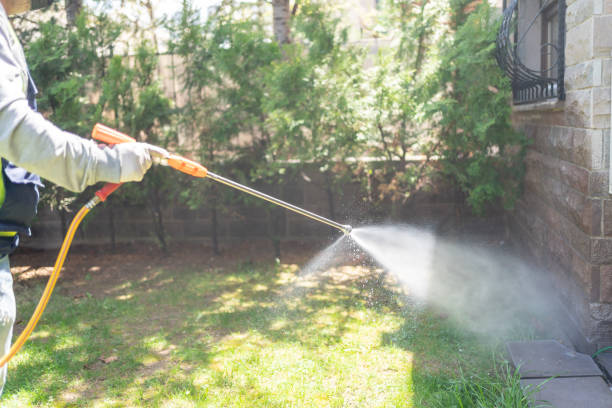 Best Mosquito Control Services  in Hampstead, MD