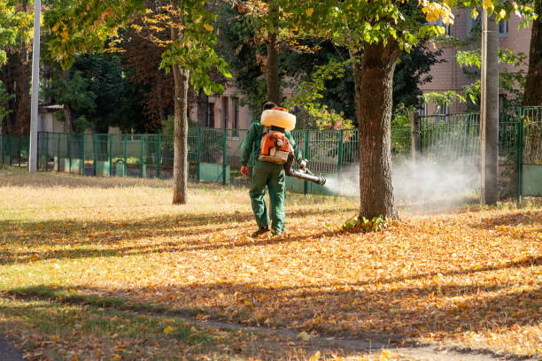 Best Pest Prevention Services  in Hampstead, MD