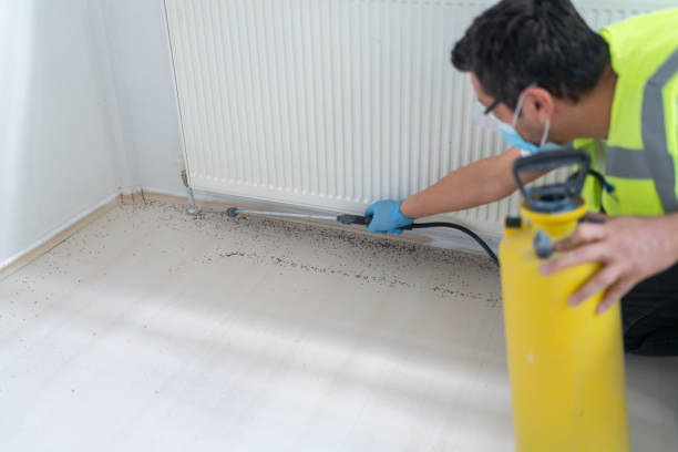 Best Cockroach Control Services  in Hampstead, MD