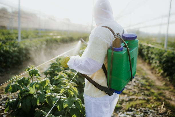 Best Insect Control  in Hampstead, MD